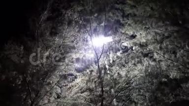 特写镜头。 一盏灯笼的背景灯穿过树林。 在灯光下，在一个舒适的夜晚公园里，沿着树林中的小径散步